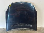 Motorhaube