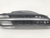 Front fog light trim/grill