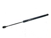 Tailgate/trunk strut/damper