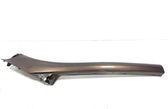 Windshield trim