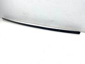 Roof trim bar molding cover