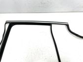 Rear door glass trim molding