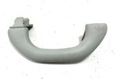 Front interior roof grab handle