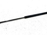 Tailgate/trunk strut/damper