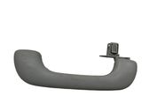 Front interior roof grab handle