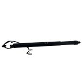 Tailgate/trunk strut/damper