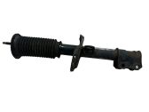Front shock absorber with coil spring