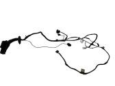 Front door wiring loom