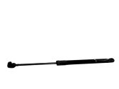 Tailgate/trunk strut/damper