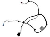 Seat wiring loom