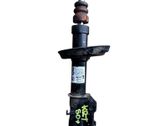 Front shock absorber/damper