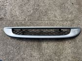 Front bumper lower grill