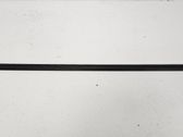 Rear door glass trim molding