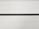 Front door glass trim molding