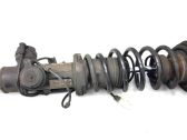 Rear shock absorber/damper