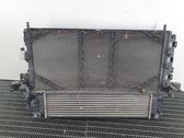 Radiator set