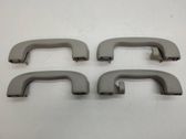 Front interior roof grab handle