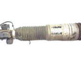 Rear shock absorber/damper