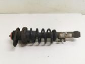 Rear shock absorber with coil spring