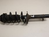 Front shock absorber with coil spring