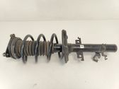 Front shock absorber with coil spring