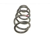 Muelle espiral trasero