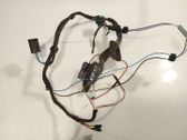 Rear door wiring loom
