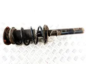 Front shock absorber/damper