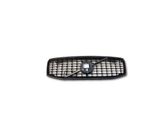 Front bumper upper radiator grill