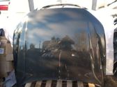 Engine bonnet/hood
