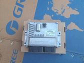 Engine control unit/module ECU