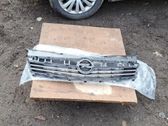 Front bumper upper radiator grill