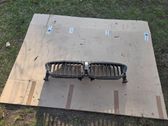 Radiator trim