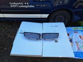 Front bumper upper radiator grill
