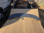 Tailgate/trunk spoiler