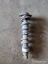 Rear shock absorber with coil spring