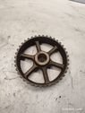 Fuel pump gear (pulley)