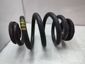 Rear coil spring