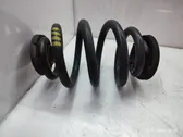 Rear coil spring