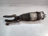 Front air suspension shock absorber