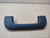 Front interior roof grab handle