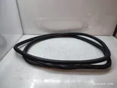 Rear door rubber seal (on body)