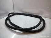 Rear door rubber seal (on body)