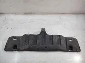 Front bumper skid plate/under tray