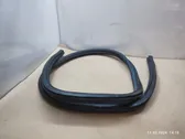 Trunk rubber seal (body)