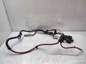 Other wiring loom