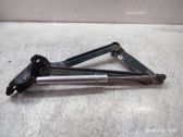Tailgate/trunk/boot hinge