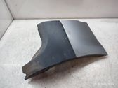 Fender end trim