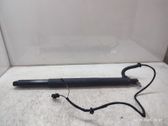 Tailgate/trunk strut/damper