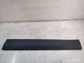 Front door trim (molding)